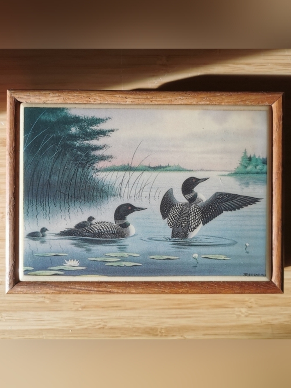 Jeff Raedeke Loons Art Deco Box